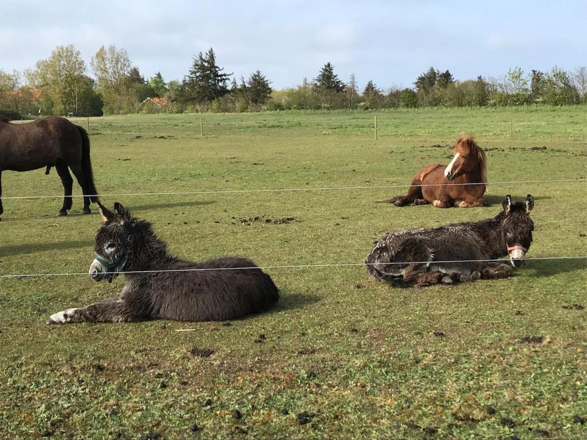 Bb-Vadehavet Ferielejlighed Til 6 Personer Ved Nationalpark Vadehavet ريب المظهر الخارجي الصورة